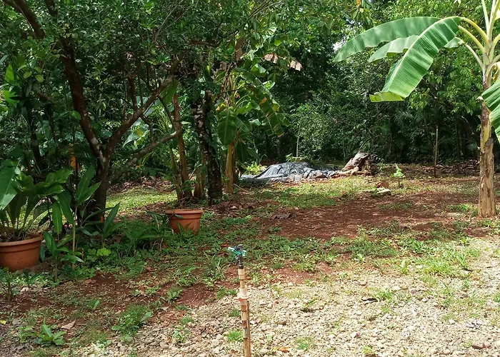 Сasa de vacaciones House In Playa Carrillo-samara Arbolito