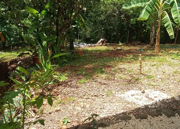 House In Playa Carrillo-samara Сasa de vacaciones Arbolito