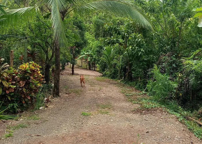 House In Playa Carrillo-samara